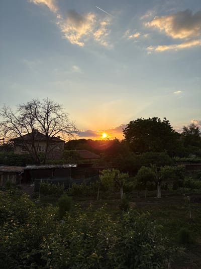 The image captures a sunset in Saedinenie, Bulgaria. The sun is near the horizon, partially obscured by clouds and trees, casting a warm, golden light. A contrail is visible in the upper left quadrant of the sky. In the foreground, there is a bare tree standing in front of a house with a reddish-brown roof. The right side of the image is dominated by dense green vegetation. A fence is present.