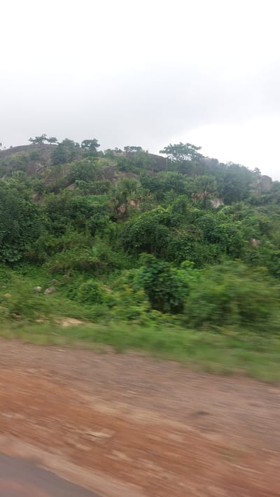 The image shows a hilly landscape covered with lush green vegetation, including trees and bushes. The sky is overcast, suggesting a cloudy or hazy day. The foreground consists of a dirt road, with blurred motion indicating movement. The terrain is rocky and uneven, typical of a natural environment. The scene appears to be located in a rural or semi-rural area, possibly Assob Hausa, Nigeria, given the vegetation and the type of road. No people or specific objects are clearly identifiable, but the overall impression is one of natural beauty and undeveloped land.