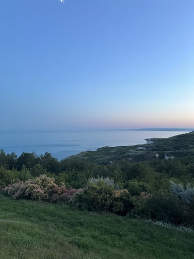 This is a high-angle, landscape photograph taken during twilight in Topola, Bulgaria. The scene overlooks the Black Sea, with the water appearing calm and expansive under a gradient sky of light blue, fading to a soft pink and orange near the horizon. A sliver of the moon is visible in the upper left quadrant of the sky.
The foreground is dominated by a lush, grassy hillside with various types of vegetation. In the midground, dense green trees and shrubs form a natural border. Interspersed among the green foliage are clusters of flowering bushes with feathery, pinkish-white blooms, possibly Cotinus coggygria (smoketree). Further in the distance, the coastline is visible, characterized by rolling hills covered in greenery, with some exposed white rock formations and a few scattered buildings indicating human settlement along the shore. The overall atmosphere is serene and natural. No people or animals are visible in the frame.