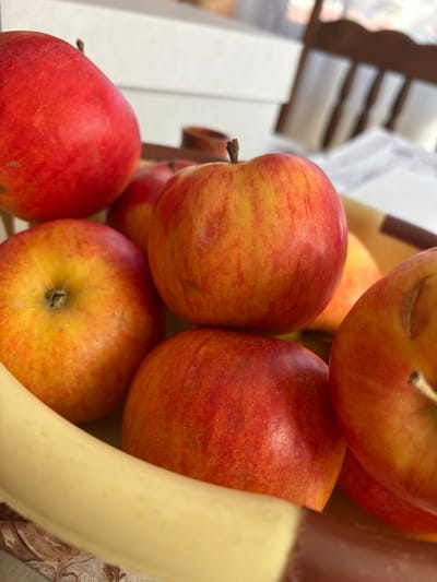 The image presents a close-up, high-angle view of approximately eight ripe apples and one partially visible yellow banana, situated within a shallow, multi-toned container. The apples are predominantly red with prominent yellow and orange streaking, and some exhibit minor surface imperfections. The banana's yellow peel is visible across the lower left foreground. The scene is located indoors, in the city of Raduil, Bulgaria. The background is out of focus, showing indistinct white rectangular objects in the upper left, a dark wooden chair back with vertical slats in the upper right, and white papers or fabric on a surface behind the fruit. A small, dark, cylindrical object is also faintly visible in the mid-background.