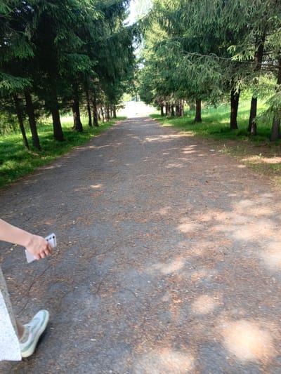 The image shows a pathway lined with tall coniferous trees, likely in a park or forest area. The pathway is made of gravel or asphalt and is partially covered with fallen pine needles. Sunlight filters through the trees, creating dappled shadows on the ground. In the foreground, a person's lower leg and arm are visible. The person is wearing a light-colored, possibly floral-patterned skirt and white sneakers with green accents. Their right hand is holding a silver smartphone. The scene suggests a leisurely walk on a sunny day. The location is identified as Zalesovo, Russia, implying an outdoor recreational setting.