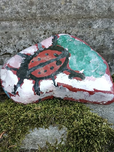 An irregularly shaped rock, approximately 25 cm in its longest dimension, is centrally positioned, resting on a dense mat of vibrant green moss. The rock is artfully painted, featuring a stylized red and black ladybug design. The ladybug's body is red with two prominent black stripes running lengthwise and several scattered black spots. A black outline defines the ladybug's head and six legs. The immediate background of the ladybug on the rock is painted white, exhibiting visible brushstrokes and some texture, with patches of green paint on the upper right side and red paint bordering the lower and right edges of the rock. The moss, which forms a lush green carpet beneath the rock, consists of numerous small, textured fronds. Behind the rock and moss is a coarse, light gray concrete or stone wall, displaying an uneven texture with numerous darker speckles and subtle variations in tone. A faint horizontal line or joint is visible across the upper section of the wall. The scene is illuminated by natural light, highlighting the textures of the moss, painted rock, and wall in an outdoor setting in Pieve Saliceto, Italy. No human subjects or discernible actions are depicted.