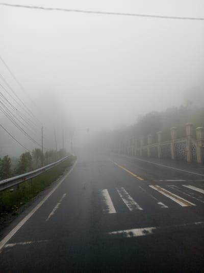 The scene depicts a fog-shrouded, wet asphalt road in Neerveli, Sri Lanka, with visibility significantly reduced by dense, uniform gray mist. The road curves to the left and slopes upward, disappearing into the fog. In the foreground, faded white parallel lines of a pedestrian crossing are visible on the wet surface. A solid white line marks the left edge of the road, and a single solid yellow line is present near the center. Along the left side of the road, a silver-colored metal guardrail extends into the fog, with multiple utility poles and overhead wires positioned behind it. A single traffic light fixture is dimly discernible above the road further into the mist. On the right side, a decorative wall composed of regularly spaced light-colored concrete pillars with ornate caps and a lower section of dark, textured stone or concrete runs alongside the road, also receding into the fog. No individuals, animals, or vehicles are present within the visible area.