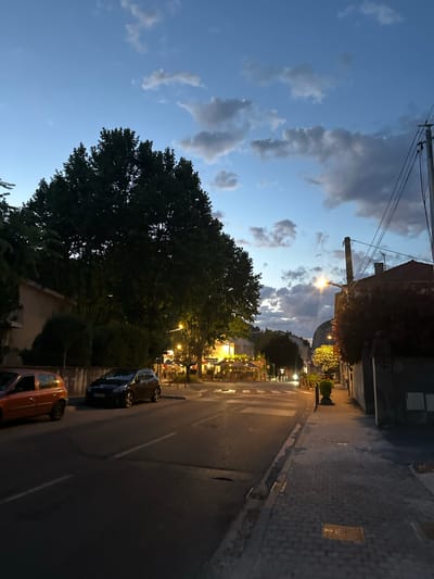 This is a vertically oriented, low-angle, eye-level shot of a street scene in Anduze, France, at dusk. The sky is a deep blue with scattered, fluffy clouds, indicating it's either early evening or late afternoon. A street lamp illuminates the scene, casting a warm glow on the wet pavement and a crosswalk. On the right side of the street, a narrow sidewalk is lined with potted plants and buildings, with shops or cafes visible in the distance, their lights on, suggesting they are open for business. A few cars are parked along the street, including a dark sedan and an orange hatchback in the foreground. On the left side of the frame, a large, leafy tree dominates the view, its dark silhouette contrasting with the lighter sky. In the background, a mountain range is faintly visible against the horizon. The overall atmosphere is peaceful and serene, with a hint of European charm. No visible text is present in the image.