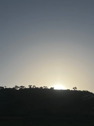 The image depicts a silhouetted hill or mountain range against a pale, hazy sky. The sun is low on the horizon, peeking over the crest of the hill, creating a bright glow. The top of the hill is lined with the dark outlines of trees, their branches creating an irregular pattern against the lighter sky. The foreground is dominated by the dark silhouette of the hill itself, with some lighter, indistinct textures suggesting rocky outcrops or vegetation. The overall atmosphere is serene and evokes a sense of dawn or dusk. The location in Dam Camp, Nigeria is noted.