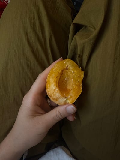 A close-up, overhead shot shows a person's hand holding a halved apricot against a backdrop of olive-green, textured fabric. The apricot is a vibrant yellow-orange with visible juice and pulp, suggesting it is ripe and possibly freshly cut. The hand is pale-skinned, with a simple ring on the ring finger. The fabric has soft folds and wrinkles, creating a natural, relaxed feel. The overall scene is simple and focuses on the texture and color of the fruit and fabric, with no discernible urban or natural landscape features to associate with Samtredia, Georgia.