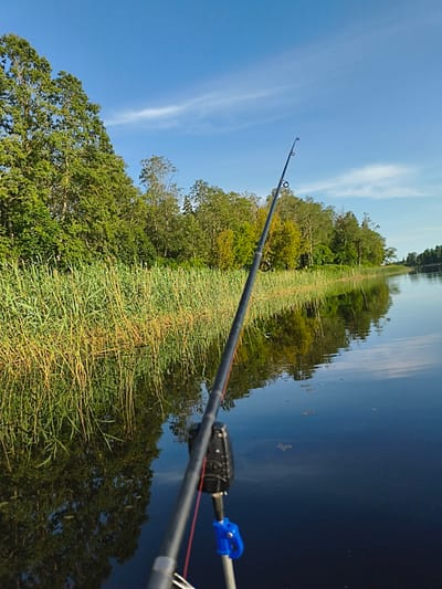 The image depicts a tranquil scene of a fishing rod extending over the calm surface of a body of water, likely a lake or river, adjacent to a dense line of reeds and trees. The water reflects the blue sky and the lush green foliage of the trees and reeds, creating a mirror-like effect. The sky is a clear, bright blue with a few wispy white clouds. The fishing rod, with a reel attached, is angled diagonally across the frame, with a fishing line extending into the water. The environment suggests a natural, possibly rural or park-like setting. The overall impression is one of peaceful recreation in a natural landscape. While the city of Brocēni, Latvia is mentioned, the image itself provides no direct visual cues to confirm this specific location; it is a general natural landscape that could be found in many similar regions.