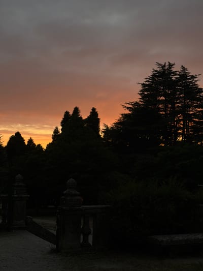 The image depicts a sunset over a park-like setting with prominent evergreen trees silhouetted against a dramatic sky. The sky displays a gradient of colors, transitioning from a deep orange near the horizon to a muted grey at the top, with wispy clouds. In the foreground, the dark shapes of ornate stone structures, possibly part of a gate or fence, are visible. These structures are detailed with carved elements, suggesting a historical or formal garden. The overall mood is serene and somewhat somber, characteristic of dusk. The location is identified as a park in Santiago de Compostela, Spain, implying a European context for the architecture and vegetation. No people are visible in the frame.