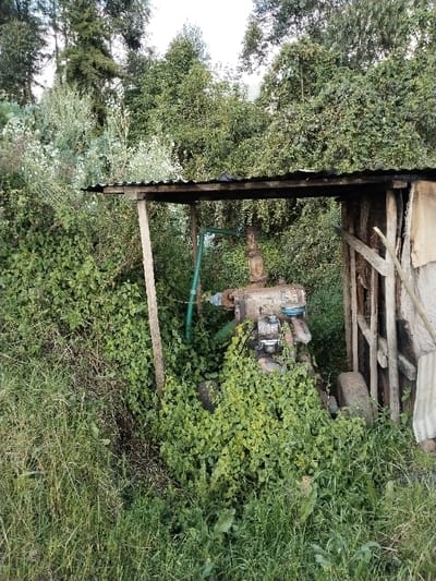 The image depicts an outdoor scene in Ndiara, Kenya, featuring a rudimentary wooden shelter with a corrugated metal roof, constructed from rough-hewn posts. Beneath this shelter, a weathered, rust-stained mechanical pump assembly, possibly engine-driven, is visible, partially obscured by dense green foliage and climbing vines. A green hose or pipe is connected to the pump. The ground surrounding the shelter and pump is heavily overgrown with tall grasses, shrubs, and leafy vegetation. In the background, a dense cluster of various trees, including tall conifers and broadleaf trees, forms a natural backdrop under a bright sky. No individuals, actions, or specific interactions are present in the frame.