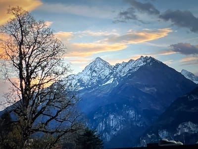 The image depicts a mountainous landscape under a cloudy sky. In the foreground, a bare, large tree with intricate branches dominates the left side of the frame. Behind the tree, snow-capped mountains rise majestically, their peaks sharp against the sky. The sky itself is a blend of blue, with streaks of orange and pink clouds, suggesting either sunrise or sunset. The mountains are a deep blue, with some areas appearing lighter due to snow cover or lighter rock formations. The environment appears natural and rugged, with no visible signs of urban development or human activity directly in the mountainous area. The city of Porrentruy, Switzerland, is known for its historical architecture and Jura mountains. While this image shows mountains, it does not provide any specific visual cues to confirm its location within Porrentruy. The scene is peaceful and serene, showcasing the grandeur of nature.