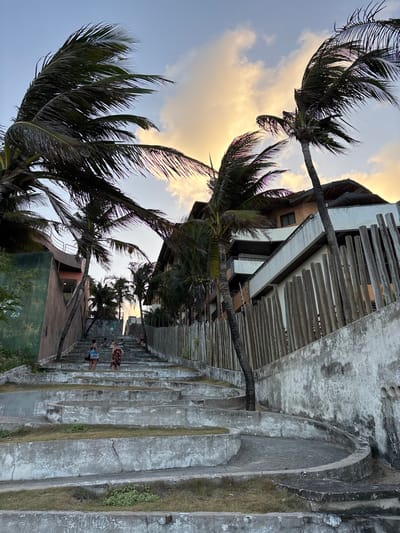 The image depicts a wide, winding concrete staircase ascending a slope in Natal, Brazil, under a late afternoon or early evening sky with a golden-orange glow from the setting sun through scattered clouds. Several palm trees are prominently featured, their fronds distinctly bent and blurred, indicating a windy environment.
The concrete staircase, weathered and textured, occupies the central and lower-left portions of the frame, comprising multiple broad steps and landings. Sparse green vegetation grows in the crevices and edges of the concrete. Approximately 7-9 individuals are visible on the staircase, appearing to ascend or descend. Two figures are in the mid-foreground: one on the left wears dark attire and carries a bag, while another towards the center wears a patterned garment. Their actions are limited to walking on the steps.
To the right of the staircase, a multi-story building with a thatched roof section and balconies is partially visible. Its facade is a combination of white and light-colored brick, bordered by a fence constructed from numerous vertical wooden poles. On the left side of the staircase, a portion of another building or structure with a brownish-green facade and an upper-level railing is present. The overall scene suggests a pedestrian path connecting different elevations within a coastal or urban resort area.