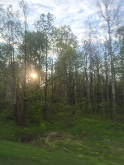 The image depicts a forest scene, possibly taken while in motion, with sunlight piercing through the trees. The sky is visible through the branches and features some clouds. The foliage is primarily green, indicating a wooded area with likely deciduous and coniferous trees. A section of grassy ground is present on the right side of the frame. The blur suggests movement during the photograph's capture. The location is not identifiable as Arkhangel'skoe, Russia, based on the provided image.