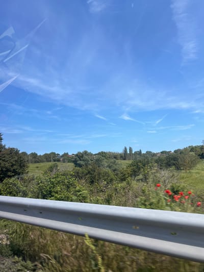 The image captures a vibrant rural landscape viewed from a moving vehicle. The top half of the frame is dominated by a clear, bright blue sky adorned with scattered, wispy white clouds, suggesting a sunny day.
Below the sky, a lush green countryside stretches across the mid-ground. It features dense clusters of trees, bushes, and grassy fields. A striking patch of bright red poppies stands out vividly against the green foliage, indicating either springtime or early summer. In the distant background, amidst the trees, a few indistinct buildings are visible, hinting at remote settlements. A tall, dark metal structure, likely an electricity pylon, can be seen rising above the distant tree line on the left.
On the far right of the image, a silver-grey metal guardrail, characteristic of a roadside barrier, runs vertically. Its slight blurring suggests motion, reinforcing the perspective of a view from a moving vehicle. Small circular indentations are visible along the guardrail's surface. The bottom-left corner shows a reflective glare on what appears to be a vehicle window.
No people are visible in the scene. The weather is clear and sunny, likely during the day. The setting appears to be a rural area alongside a road or highway, possibly near Kumanovo, Bulgaria, as indicated by the context. There is no discernible text in the image.