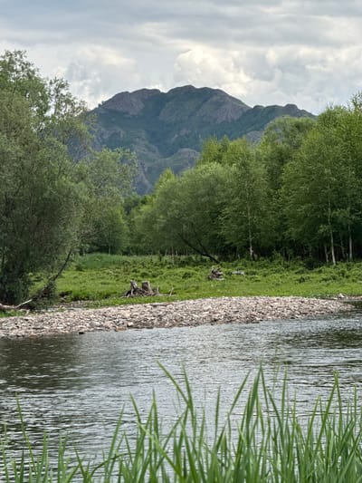 The image depicts a serene natural landscape near Kaznovka, Russia. In the foreground, a body of water with ripples reflects the overcast sky. Tall green grass grows at the water's edge. A rocky shore separates the water from a lush green meadow. Beyond the meadow, a dense forest of green trees dominates the middle ground, with a large mountain range in the background. The mountain slopes are covered in trees, and their rocky peaks are visible against the cloudy sky. A fallen tree trunk with exposed roots rests on the rocky shore.