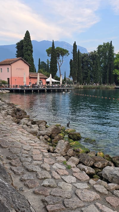 The image depicts a picturesque scene at the waterfront of Riva del Garda, Italy. In the foreground, a stone-paved path runs along the rocky shoreline of a tranquil lake. The lake's surface is calm, reflecting the soft light of the sky, and a series of orange buoys mark a boundary in the water. On the right side of the frame, a solitary black bird stands in the shallow water amongst moss-covered rocks.

In the middle ground, a pink building with white umbrellas and tables suggests a waterfront restaurant or cafe. People are seated at these tables, enjoying the view. A wooden pier extends from the building over the water, providing access to the seating area. Numerous tall, slender cypress trees line the waterfront, adding a vertical element to the landscape. In the background, a range of hazy mountains forms the horizon under a partly cloudy sky. The overall atmosphere is serene and inviting, characteristic of a lakeside resort town.
