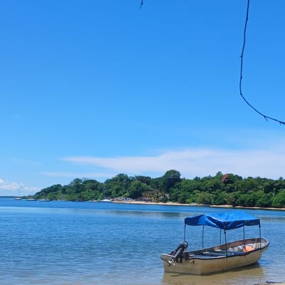 The scene captures a daytime coastal environment in Tanga, Tanzania. In the immediate foreground, a light-colored motorboat with a blue fabric canopy and an outboard engine is partially beached on a sandy shoreline, with its bow extending into shallow, blue-green water. An orange life vest is visible within the boat's interior. A thin, dark, curved branch is present in the upper right quadrant of the frame. The midground consists of a calm expanse of blue water, exhibiting minor surface ripples and scattered particulate matter. The background reveals a distant landmass covered in dense green foliage, with sections of sandy beach and several indistinct structures interspersed among the trees. Multiple additional vessels, including sailboats with visible masts, are moored or anchored along this distant coastline. The sky is predominantly clear blue with sparse white clouds visible near the horizon. No human figures are present within the image.