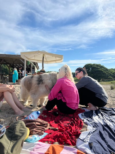 The image shows a group of people and a large, fluffy dog on a sandy beach. Two women are crouched down, one wearing a grey long-sleeved shirt and black pants, and the other in a bright pink shirt and black pants. They appear to be interacting with the dog. A large, white and tan dog with a thick coat is the central focus.
In the background, there is a beach umbrella providing shade over a thatched-roof structure. Several other people are visible under the structure, some sitting and some standing. The scene suggests a relaxed day at the beach.
The weather appears sunny with a bright blue sky and scattered white clouds. The time of day is likely daytime, given the strong sunlight. The location is a beach, and text on a blue plastic bottle reads "DEVI" and " Izvornata Voda." Other items on the sand include towels and clothing. The overall atmosphere seems casual and enjoyable.