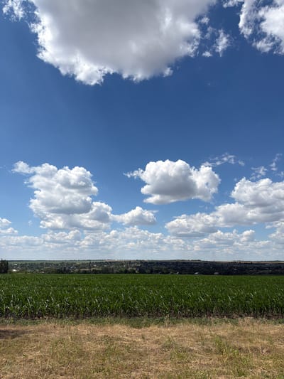 The image depicts a wide-angle view of a rural landscape under a bright blue sky dotted with fluffy white clouds. In the foreground, dry, brown grass is visible, transitioning into a dense, green field of what appears to be young corn stalks. Beyond the field, a treeline separates the agricultural land from a distant village or town, characterized by scattered buildings nestled amongst more trees and rolling hills. The overall impression is one of a serene summer day in a cultivated rural area. The location is specified as Unknown, Ukraine. There are no people or animals visible in the scene.