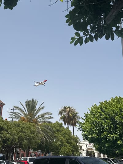 In Guadalmar-San Julián, Spain, on a clear, bright day, an airplane with a white fuselage and a red tail is captured in mid-flight against a pale blue sky. The aircraft appears to be ascending. Below the airplane, lush green trees and palm trees frame the lower portion of the image. Partially visible buildings with red and white facades are seen through the foliage. In the foreground, the roofline of a dark-colored vehicle is present, suggesting a street-level perspective. The scene conveys a sense of a sunny day in an urban environment with a prominent natural and aviation element.