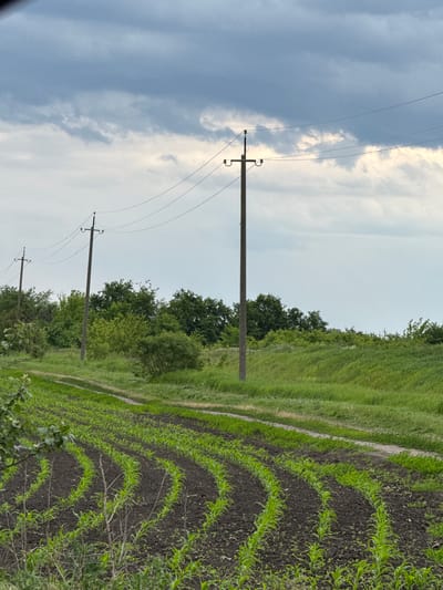 This landscape image, captured in Zanky, Ukraine, presents a tranquil rural scene under a dynamic sky. The photograph is oriented horizontally, revealing a blend of agricultural land, natural vegetation, and utility infrastructure.
In the foreground and midground on the right, vibrant green crops are meticulously planted in neat, curved rows across dark soil, indicating early growth in a cultivated field. Adjacent to these crop rows, a strip of uncultivated green grass runs parallel, possibly marking a field boundary or a simple dirt path.
Several dark, sturdy electricity poles with power lines strung between them stand prominently in the midground, extending across the frame. These poles are partially silhouetted against the sky. Behind the poles and the grassy area, a dense band of green trees and shrubs forms a lush natural barrier, suggesting the edge of a wooded area or a significant cluster of vegetation.
The sky dominates the upper part of the image, displaying a mix of light blue patches and an array of clouds. White, fluffy clouds are interspersed with darker, greyish formations, hinting at a day with variable weather, possibly overcast with moments of brighter light. The soft illumination filtering through the clouds suggests either late afternoon or early morning.
No people are visible, and no specific activities are taking place, contributing to the peaceful and static nature of the scene. The image provides a glimpse into the agricultural and natural beauty of the Ukrainian countryside, complete with essential power infrastructure. There is no discernible text within the image.