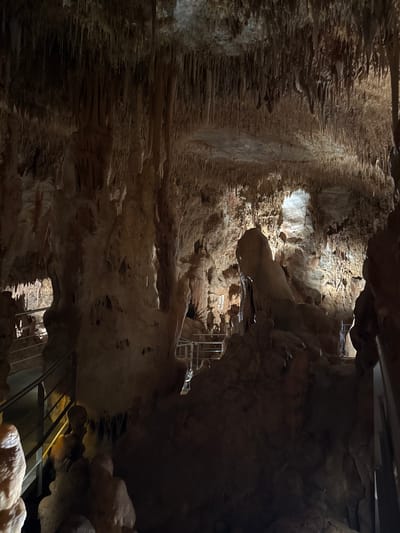 The image depicts the interior of the Cave of Petralona, located in Πετράλωνα, Greece. The cave walls are composed of rough, brown, and tan rock formations, including stalactites hanging from the ceiling on the left side of the image. Metal staircases are built throughout the cave for visitors to navigate the terrain. The lighting is dim and accentuates the contours of the rock formations.