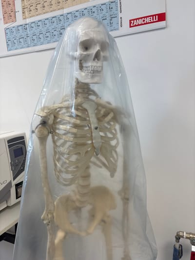 The image depicts an interior scene within an educational or scientific facility located in Foligno, Italy. The primary subject is an articulated human skeleton model, light beige in color, standing upright and largely obscured by a translucent, light blue-grey plastic sheet draped over its head and upper torso, extending down to the pelvis. Visible through the plastic, the skeleton displays detailed bone structures, including the skull, rib cage, and pelvic girdle, with small metallic fasteners at some joints.
In the upper background, a large, multicolored periodic table of elements poster, featuring Italian text, is affixed to a white wall. Above this poster, a red banner with the white text "ZANICHELLI" is visible, indicating an Italian publishing company specializing in educational materials. To the far left, a portion of a white laboratory instrument with a dark grey control panel, a blue screen, and the label "EVO" is visible. The right side of the image features a plain white wall. In the lower right corner, brass-colored pipe fittings with blue and white tape or insulation are partially visible. No individuals are present in the scene.