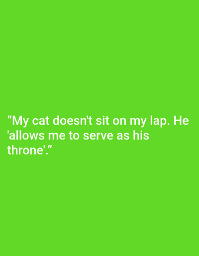 The image contains text on a bright green background. The text reads: "My cat doesn't sit on my lap. He 'allows me to serve as his throne'." There are no visible elements that would associate this image with the city of Kępno, Poland.