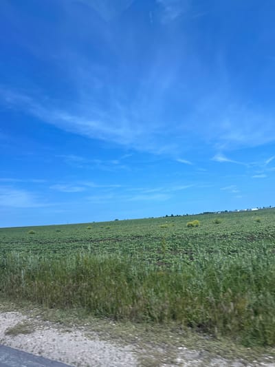 The image presents a wide-angle view of a serene rural landscape under a vast blue sky, located near Kumanovo, Bulgaria. The horizon line cleanly bisects the scene, separating the sky from the ground.
The upper portion of the image is dominated by a clear, bright blue sky, streaked with delicate, wispy white cirrus clouds that stretch horizontally across the frame. The strong, natural illumination suggests a sunny day, likely mid-morning to late afternoon.
Below the horizon, an expansive, flat green field extends into the distance, filling the lower half of the photograph. This field appears to be cultivated with young crops or dense natural vegetation, dotted with scattered small yellow wildflowers. Along the distant horizon, faint, dark linear shapes are discernible, possibly indicating distant trees or structures.
In the foreground, along the right edge of the frame, a lighter-colored strip of ground, resembling a gravel road or unpaved path, borders the green field. There are no people or active events depicted in this tranquil, open countryside scene. No text is visible in the image.