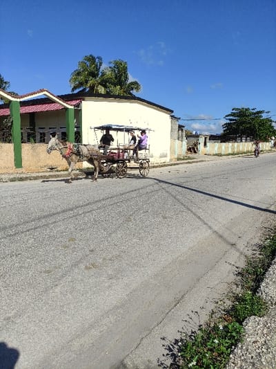 A daytime street scene in Ciego de Ávila, Cuba, depicts a light-colored horse pulling a four-wheeled wooden cart with a white canopy from left to right across the frame. Three individuals occupy the cart: a male driver, dark-skinned and wearing a dark shirt, holds the reins from the front left seat; two female passengers, one in a purple shirt, are seated behind him. The vehicle is positioned on a grey asphalt road displaying wear, patches, and diagonal shadows. To the left, a cream-colored, two-story building with a reddish-brown roof and a distinct green vertical support beam is partially visible, with palm trees rising behind it. To the right, a series of light-colored, single-story structures or perimeter walls line the road. In the far distance on the right, a person is observed riding a bicycle or small motorized vehicle. The immediate foreground on the right includes a concrete curb with sparse green vegetation and small white flowers. The sky above is clear blue with minimal scattered white clouds.