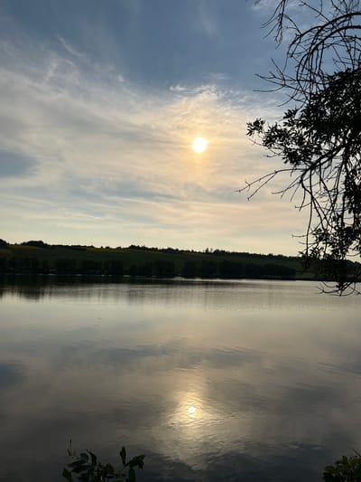 The image depicts a serene lake at sunset in Pănăsești, Moldova. The sun, a bright orb, is partially obscured by wispy clouds, casting a warm glow on the sky and reflecting on the calm water. Silhouetted trees and rolling hills form the distant shoreline, with a line of darker trees at the base of the hills. In the foreground, the branches of a tree, devoid of leaves, reach in from the right side of the frame, framing the tranquil scene. The water's surface acts as a mirror, reflecting the sky, the sun, and the surrounding landscape. The overall impression is one of peace and natural beauty.