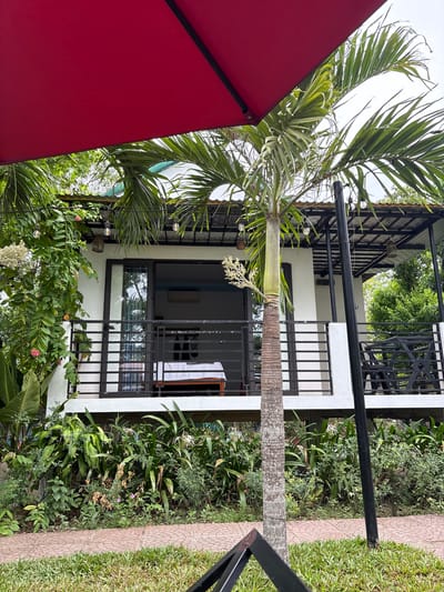 A red umbrella casts a shadow over a tropical scene in Bố Trạch Commune, Vietnam. In the foreground, a young palm tree stands before a white building with a balcony. The balcony is furnished with black railings and overlooks a lush garden filled with various plants, including large-leafed foliage and flowering vines. String lights are visible along the roofline of the building. The building itself has a sliding glass door that opens onto the balcony, revealing a simple bed inside. A paved pathway and a patch of green grass complete the outdoor setting. The sky is overcast.