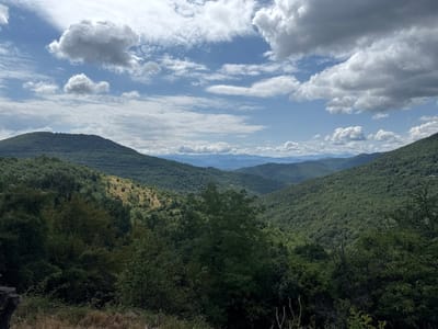 This image captures a vast, verdant landscape of rolling hills and mountains, likely in the vicinity of Manaselska Reka, Bulgaria. The foreground is dominated by lush green trees and foliage, with some dry grass and a rocky outcrop on the left. Beyond this, the landscape unfolds into layers of densely forested hills, receding into the distance. The distant mountains are softer in tone, veiled by atmospheric haze. The sky above is a bright blue, dotted with a mix of fluffy white clouds and darker, more ominous storm clouds, suggesting a dynamic weather system. The scene is devoid of any human presence or activity.