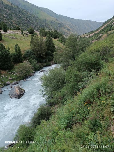 A wide shot captures a serene mountain valley in Chunkurchak, Kyrgyzstan. A glacial river, with its characteristic milky-blue hue, rushes through the center of the frame. The riverbanks are densely covered in lush green foliage and trees, with larger, darker trees dotting the grassy slopes on the left side of the image. In the background, the valley narrows, flanked by steep, verdant mountains. The sky is overcast, suggesting a cool, possibly damp day, and the lighting indicates it is late afternoon, around 3:07 PM. The scene evokes a sense of tranquility and the raw beauty of nature.

Visible text in the image includes a watermark "REDMI NOTE 11 PRO" and "MI FOREVER" in the bottom left corner, and a date and time stamp "24.06.2026 15:07" in the bottom right corner.