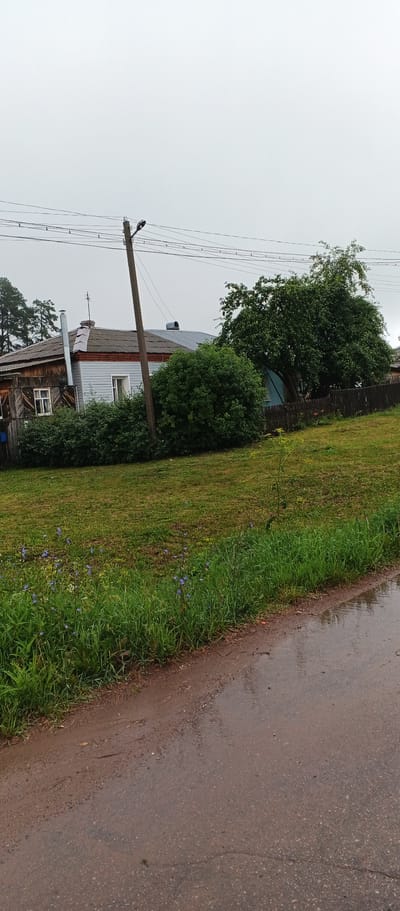 A rural scene in Podgornoye, Russia, under an overcast sky shows a dirt road wet from recent rain, bordering a grassy embankment. A weathered wooden fence runs along the edge of the embankment, which is lined with green grass and scattered small blue flowers. Beyond the fence, a large, leafy tree dominates the mid-ground, casting shadows on a cluster of houses. The houses appear to be of traditional Russian rural architecture, with visible chimneys and wooden siding. A prominent wooden utility pole with a street lamp stands to the left of the houses, with electrical wires stretching across the frame. The overall impression is one of a quiet, possibly damp, summer day in the countryside.
