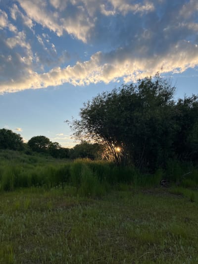 The image shows a wide shot of a grassy field with trees in the background. The sun is setting, and the sky is filled with clouds. The light from the setting sun is shining through the trees, creating a warm glow. The overall scene is peaceful and serene. The location is the city of Mayak, Russia.
