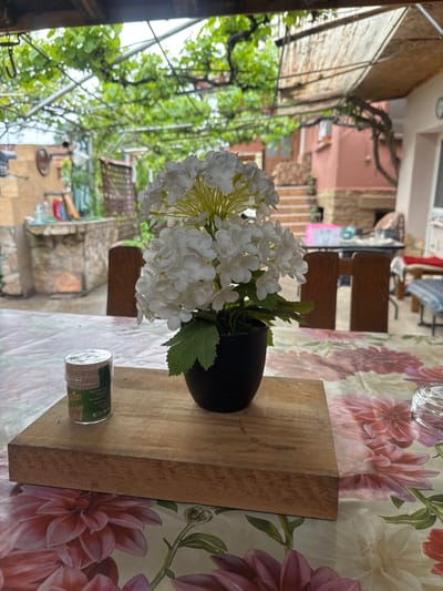 The photograph shows a still life arrangement on a table, likely outdoors in Lehchevo, Bulgaria. The table is covered with a floral-patterned tablecloth and holds a wooden cutting board. On the board, there is a black vase containing artificial white flowers with green leaves, and a cylindrical container of toothpicks. The background shows a view of the town with buildings, greenery, and a pergola. The overall scene suggests a casual, outdoor setting, possibly a patio or balcony in a residential area.