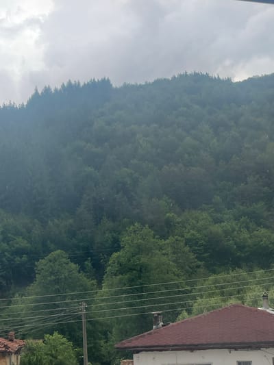 The image captures a forested mountain or large hill within Elhovets, Bulgaria, under an overcast sky. The sky is uniformly covered by light grey clouds, and faint streaks consistent with light rain are visible throughout the frame, particularly over the trees. The mountain is densely covered in trees, exhibiting dark green coniferous species towards its peak and varied shades of green deciduous foliage at lower elevations. In the foreground, a wooden utility pole stands slightly left of center, supporting at least five parallel power lines that extend horizontally across the lower portion of the scene. Partially visible structures include an older building on the lower left with a reddish-brown tiled roof and a chimney, and a building on the lower right with a newer reddish-brown shingled roof, a dark fascia, a white wall section, and a chimney. No human or animal subjects are present.