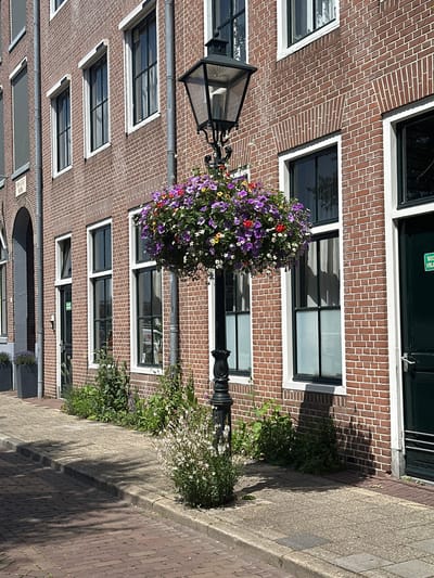 The image depicts a street scene in Zwolle, Netherlands, likely during the daytime on a sunny day, as indicated by the strong shadows. The focus is on a multi-story brick building with numerous windows. A dark lamppost stands in front of the building, adorned with a large, overflowing hanging basket filled with vibrant purple and white flowers, with a few red accents. Greenery and more white flowers grow at the base of the lamppost and along the wall. The building's brickwork features a distinctive pattern in some areas. Several windows are visible, some with dark panes reflecting the surroundings, others appearing to have light interiors. The sidewalk is paved with brick and stone. In the lower part of the image, an arched entryway is visible, and a small sign with Dutch text can be partially seen. The overall impression is one of a well-maintained, charming street in a European city.