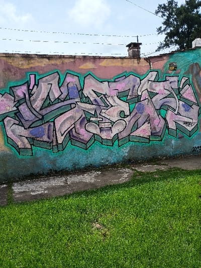 A concrete wall with an intricate graffiti design in shades of pink, purple, green, and blue. The wall is situated in General Pacheco, Argentina, at the coordinates latitude: -34.466, longitude: -58.635. The wall is partially obscured by a patch of dense green grass on the right side of the frame. The upper portion of the wall is obscured by an overgrown tree branch and a pale blue sky, which is crisscrossed by electric power lines. The background is a patch of green grass that stretches the entirety of the right half of the frame. The top of the wall is partially obscured by an overgrown tree branch. There are no people or objects in the scene other than the wall and the grass. The graffiti is executed in a somewhat haphazard fashion, with the different colors and shapes overlapping and blending together. There is a faint hint of a faded, pale blue outline around the graffiti, suggesting the original wall was painted blue. The graffiti is the sole subject of the scene. The graffiti is located on the exterior wall of a structure, possibly a home or building. The graffiti is the result of human activity. The graffiti is the subject of the scene and is the only human-made object. The environment is suburban or rural, likely located in a residential neighborhood. The scene is a typical example of urban art in a suburban or rural setting.