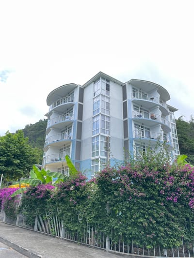 In Abaata, Abkhazia, a light blue and white multi-story building with rounded balconies is seen from a slightly low angle. The building features numerous windows and is adorned with horizontal light blue accents. Green trees and lush, vibrant purple flowering bushes are in the foreground, with a gray metal fence separating the foliage from a paved walkway. The sky above is overcast.