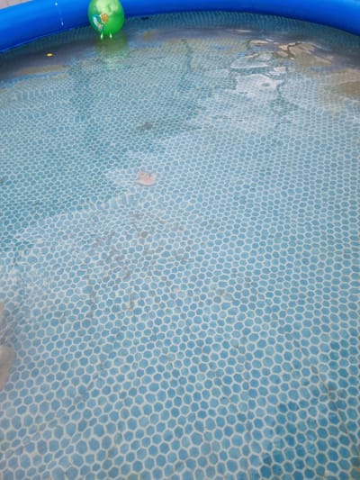 This media file shows the interior of a blue inflatable pool filled with water. The bottom of the pool has a hexagonal pattern of light blue and white. The water's surface is rippled, creating reflections of the sky and possibly nearby objects.

On the left side of the pool, a bright green inflatable toy is partially submerged in the water. It features a cartoon character, likely from a children's show, with a round head and simple facial features. The toy appears to be floating near the edge of the pool.

Further into the pool, several small, dark, elongated shapes are visible just beneath the surface of the water. These could be small toys or perhaps even aquatic creatures, though their exact nature is unclear.

The lighting suggests it is daytime, with natural light illuminating the scene. The presence of an inflatable pool indicates an outdoor setting, likely a backyard or a recreational area. Given the location context of Romny, Ukraine, it's probable that this is a scene from a warm weather season, suggesting it is summer or late spring, and the weather is pleasant enough for outdoor pool activities. There are no visible signs of people actively swimming or playing, but the presence of the toy implies it's a space for children's recreation. The overall mood is one of leisure and simple outdoor enjoyment.