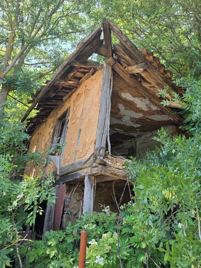 An abandoned, dilapidated building, likely a former dwelling, is overgrown with lush green vegetation in Indzhe Voyvoda, Bulgaria. The structure is constructed of clay-plastered walls with visible wooden beams. The roof is severely damaged, with much of its tiling missing and the underlying wooden supports exposed and decaying. One side of the building features a gaping opening where a window or door once was, revealing the dark interior. The surrounding area is dense with trees and shrubs, partially obscuring the building and contributing to its state of disrepair. The scene suggests neglect and the passage of time, with nature reclaiming the man-made structure.