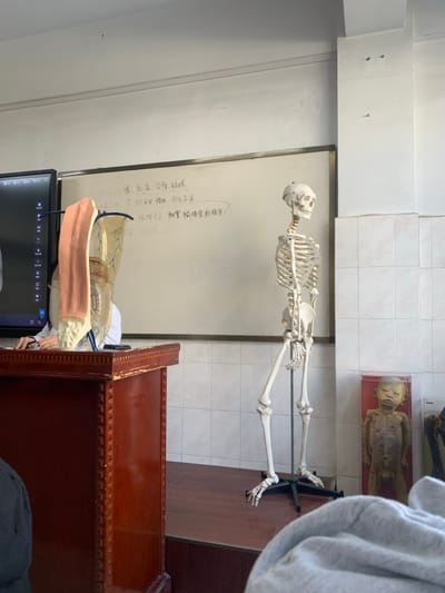 Anatomy classroom with a skeleton model on a stand, positioned in front of a whiteboard with notes. A preserved infant specimen sits in a glass case on the tiled wall. A wooden cabinet is partially visible on the right side. A computer monitor and anatomical models are visible at the bottom of the frame.