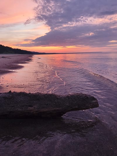 The image depicts a serene beach scene at dusk in Apšuciems, Latvia. The sky is a canvas of soft pinks, oranges, and purples, with scattered clouds adding texture. The gentle waves of the Baltic Sea lap the shore, reflecting the colors of the sunset. A piece of driftwood rests on the wet sand in the foreground, with a few droplets of water clinging to its edge. The coastline is lined with dark trees in the distance, and the beach itself appears sandy and deserted. The overall mood is tranquil and peaceful.