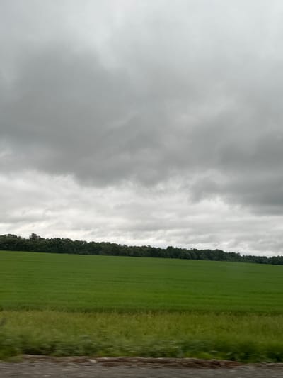 The image shows a rural landscape under a cloudy sky. In the foreground, there is a blurred band of ground, likely a road or path, with some vegetation. Beyond this, a vast, bright green field stretches horizontally across the frame, its texture suggesting rows of crops or grass. A darker line of trees forms a distant horizon, separating the field from the heavily overcast sky. The sky is filled with thick, grey clouds that obscure any sign of the sun. The scene is devoid of people or any discernible structures, presenting a purely natural environment.