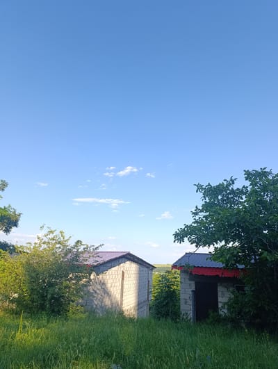 The image depicts an outdoor scene with two unfinished brick structures in a rural setting, likely in Rezina, Moldova. The structures appear to be sheds or small buildings, with visible brickwork and simple metal roofs, one with a visible red trim. They are situated amidst overgrown green grass and dense foliage, with trees framing the right side of the frame. The sky above is a clear, bright blue with a few scattered white clouds, suggesting fair weather. The sunlight casts shadows on the buildings, indicating it is likely daytime, possibly late afternoon due to the warmth of the light. The overall impression is one of a developing or abandoned construction site in a natural, unmanicured environment. There is no visible text in the image.