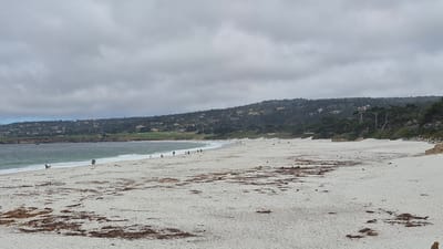 The image depicts Carmel Beach in Carmel-by-the-Sea, California, under an overcast sky. The expansive white sand beach is dotted with scattered seaweed and footprints. In the distance, the Pacific Ocean churns with gentle waves meeting the shore. The coastline is lined with cypress trees and homes nestled into the hillside, suggesting a developed yet natural environment. Several people are visible on the beach, appearing to be walking or enjoying the seaside. One individual is walking a dog near the water's edge, while others are spread out across the sand, engaged in solitary activities. The overall scene conveys a sense of peaceful, uncrowded recreation in a picturesque coastal setting.