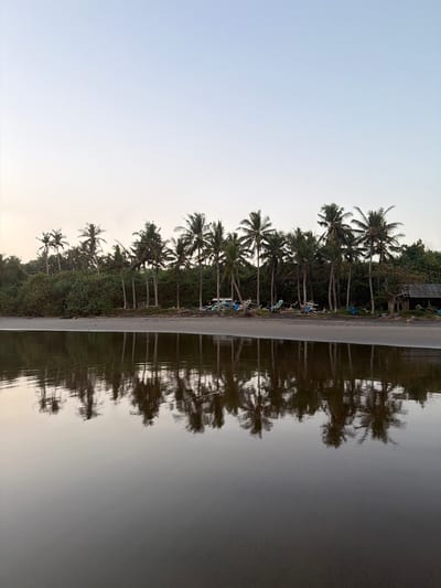 The image displays a coastal scene in Selemadeg, Indonesia, under subdued ambient light, suggesting either dawn or dusk. The sky above presents a gradient, transitioning from a light blue at the zenith to a paler, warm tone at the horizon. A dense line of numerous tall palm trees, interspersed with other lush green tropical vegetation, occupies the midground along what appears to be a dark sandy or volcanic beach. Several traditional outrigger fishing boats, some with visible blue and white components, are pulled ashore and rest among the trees and shrubs. To the far right, a rustic wooden structure with a distinct roof is partially visible amongst the foliage. The foreground is dominated by a wide expanse of extremely still, dark water, which produces a clear and symmetrical reflection of the sky, the palm trees, and the beached boats. No individuals are present within the scene.