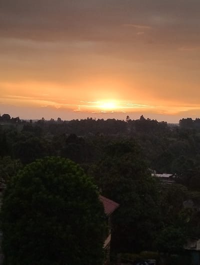 The scene depicts an outdoor landscape during sunset in Kikuyu Township ward, Kenya. The sky is dominated by an orange and yellow sun disk positioned low on the horizon, partially obscured by horizontal cloud formations. Above the horizon, the sky transitions from bright orange to progressively darker shades of orange and grey. The midground and foreground are characterized by a dense, dark green tree canopy. Within this vegetation, structural elements of human habitation are present. In the lower-left, a section of a building with a reddish-brown sloped roof and lighter-colored walls is visible, partially obscured by a large tree in the immediate foreground. Further into the midground, additional structures with light-colored or corrugated roofs are discernible among the trees. No individuals, animate subjects, or explicit actions are observed within the frame. The environment is consistent with a rural or semi-urban area featuring significant natural foliage at a time of low sun angle.