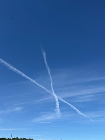 In Tiskre, Estonia, the image captures a clear blue sky with two prominent contrails from airplanes crossing each other, forming an "X" shape. A single, small bird is visible in the upper left quadrant of the sky. The lower portion of the image shows a dense line of green trees and a few indistinct structures, possibly lampposts or utility poles, suggesting a terrestrial landscape beneath the vast expanse of the sky. The light and shadows indicate it is daytime, likely mid-morning or afternoon.